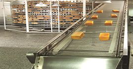 ���Ĳ����ѷ�����ְҵ����